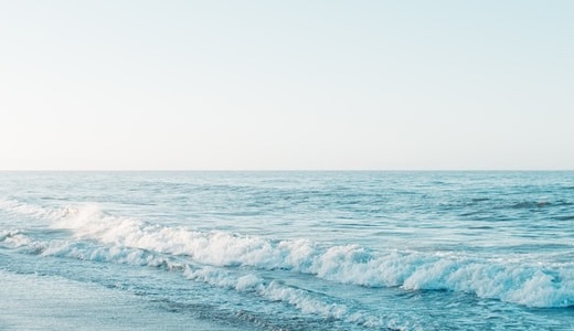 生命保険の見直しポイント——50代・60代が払いすぎ保険を終活前に整理する完全ガイド